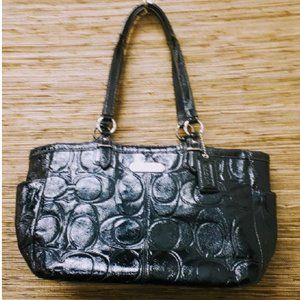 Coach Handbag C1273-F19462